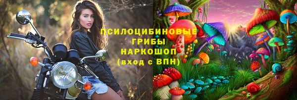 гидропоника Арсеньев