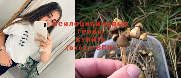 синтетический гашиш Алексеевка