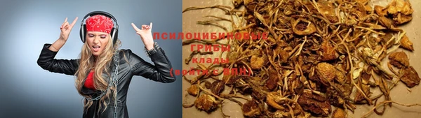 Альфа ПВП Армянск