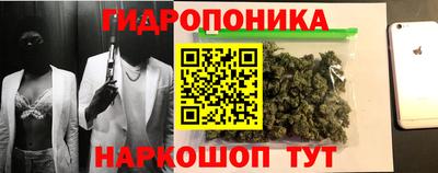 mdpv Можга