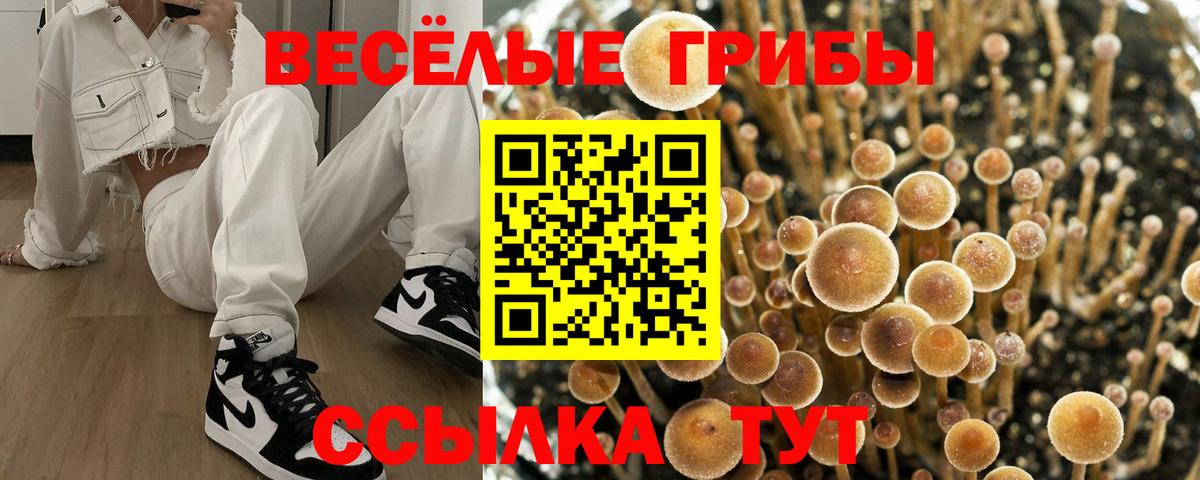 Псилоцибиновые грибы ЛСД  Галлюциногенные грибы мицелий  Вход с VPN  Светлоград 