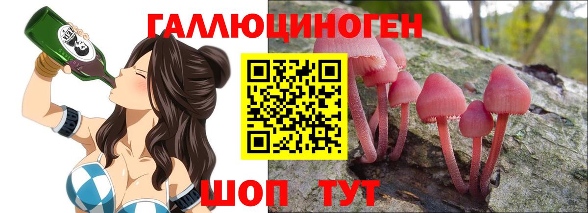 Псилоцибиновые грибы мицелий Светлоград