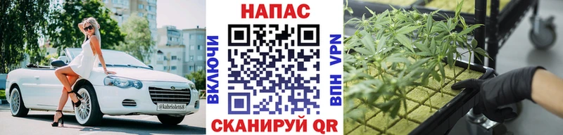 Каннабис марихуана Светлоград